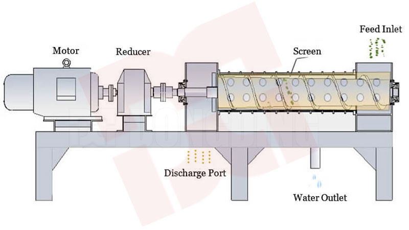 screw-dehydrator-structure